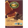 NATURE&#39;S PATH: Organic Frosted Lotta Chocolotta Toaster Pastries, 11 oz