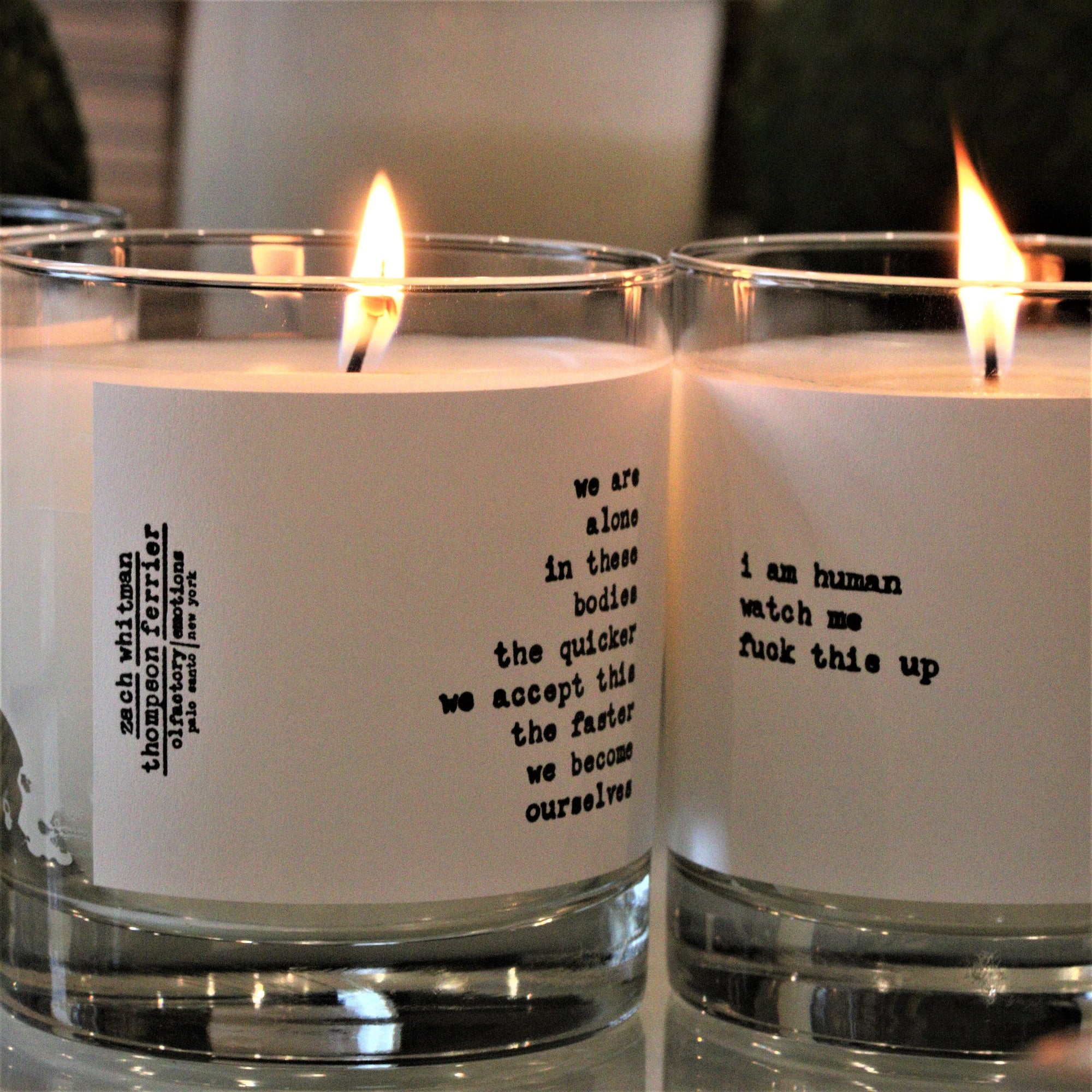 Luxury, Ourselves- Poems by Zach Whitman