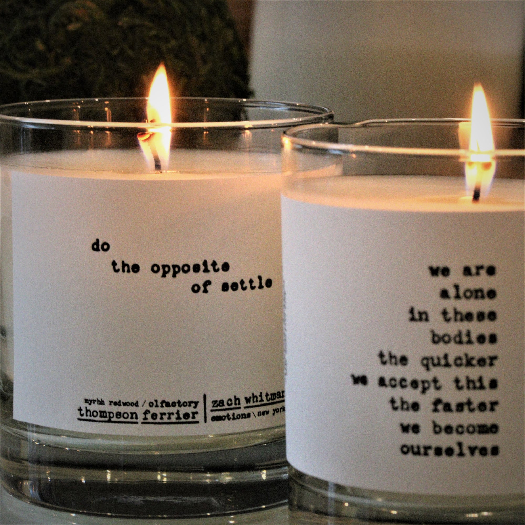 Luxury, Ourselves- Poems by Zach Whitman