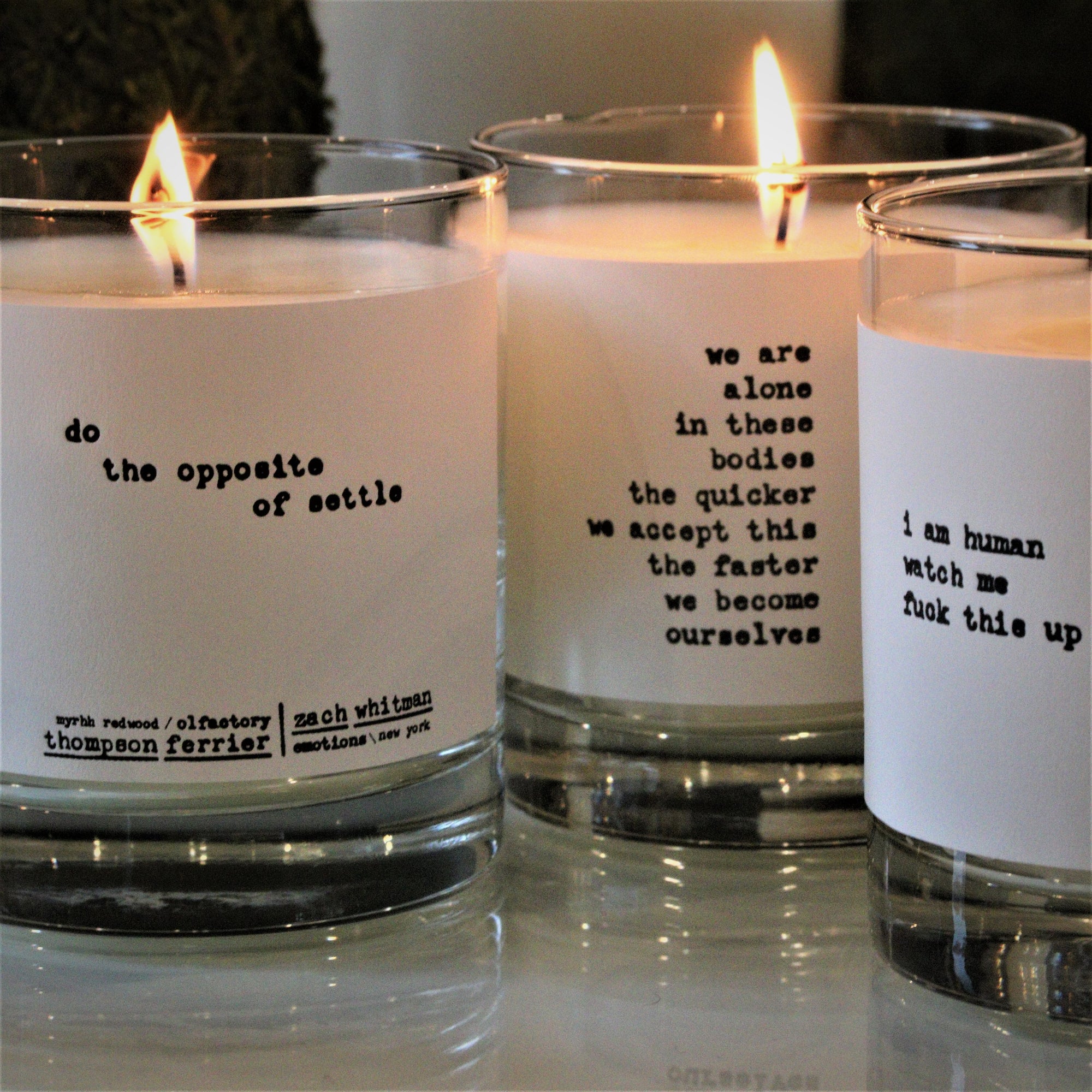 Luxury, Ourselves- Poems by Zach Whitman