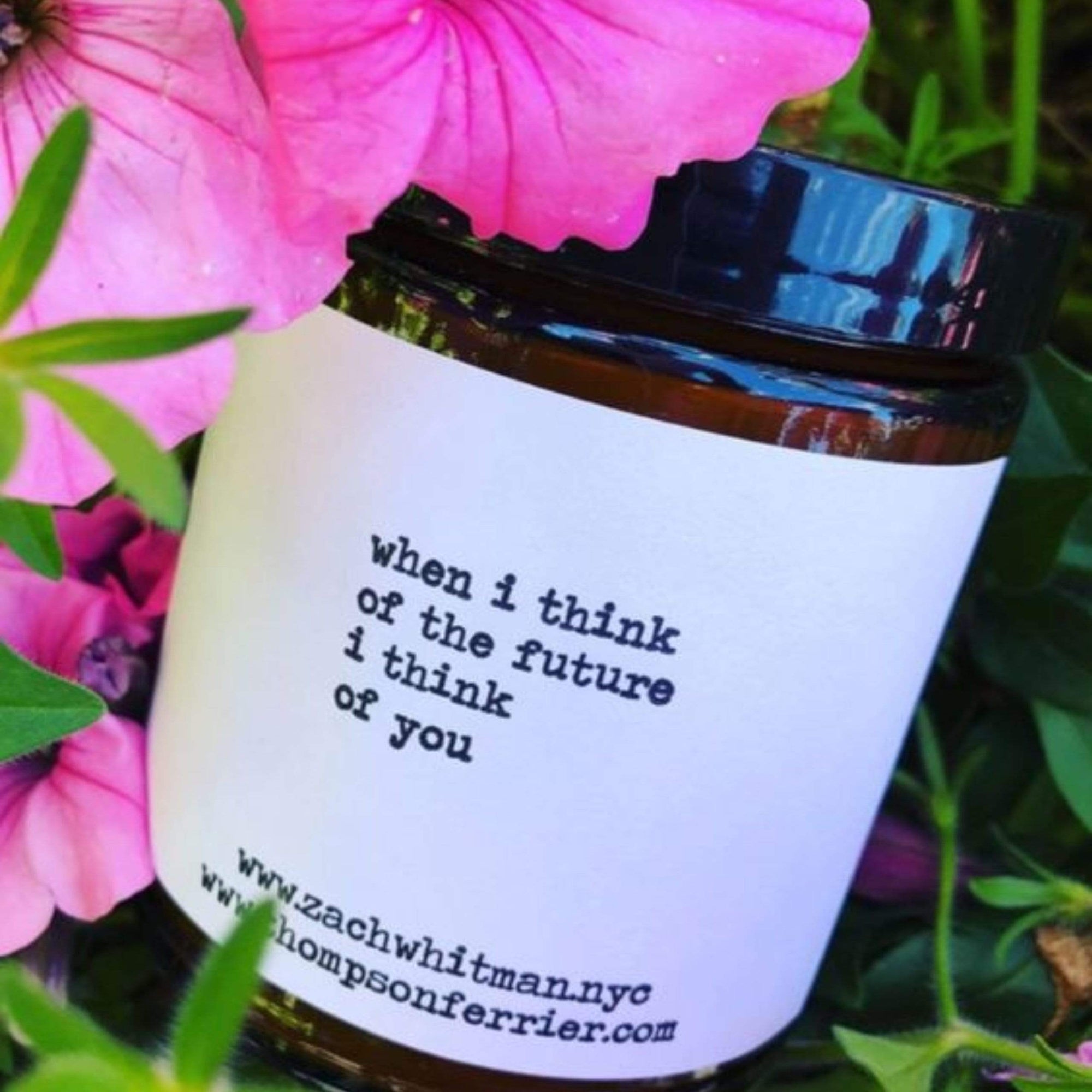 Future- Poems by Zach Whitman