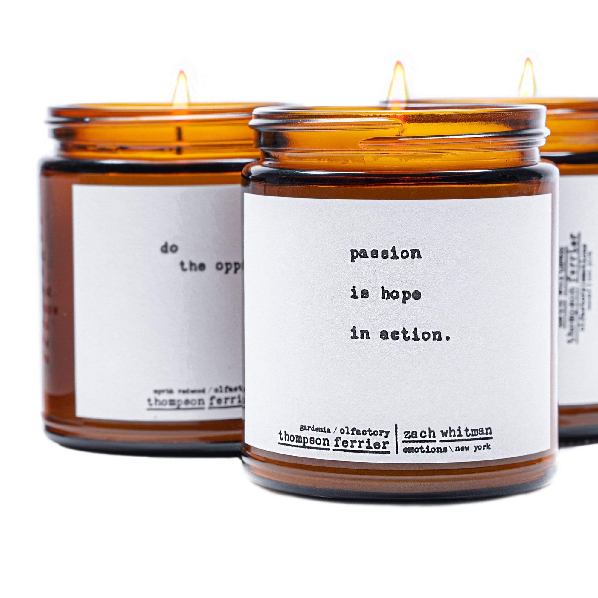 Passion- Poems by Zach Whitman